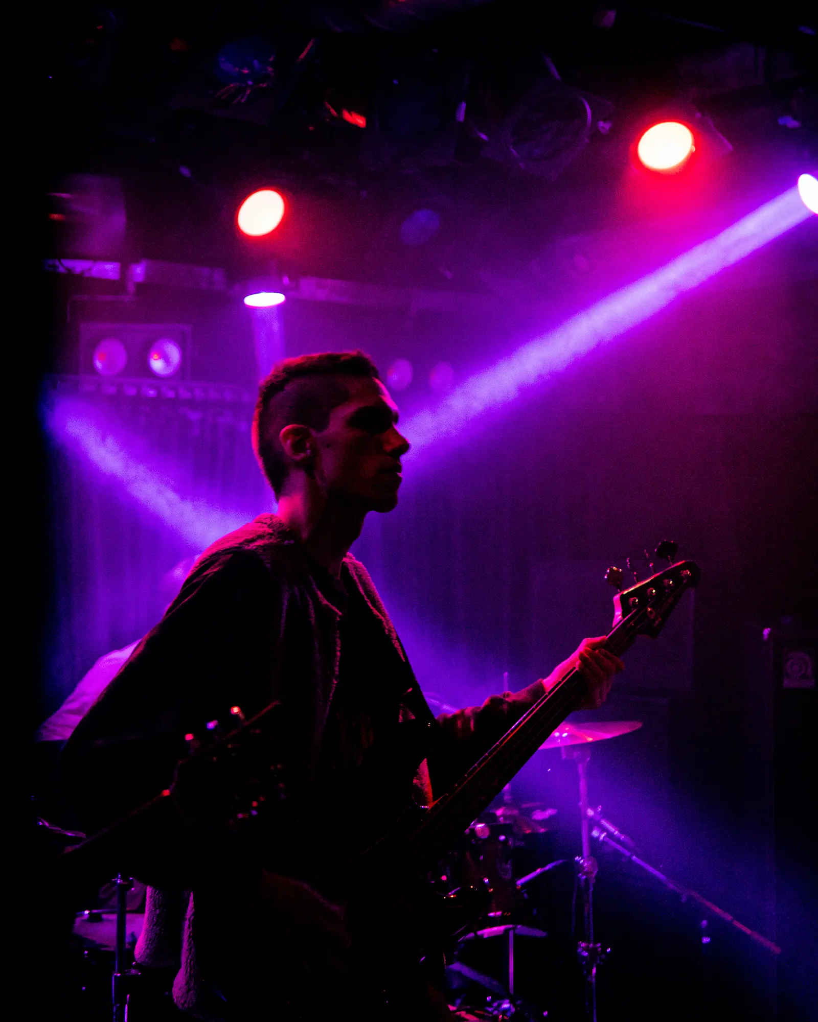 A bassist plays under purple and red stage lights.